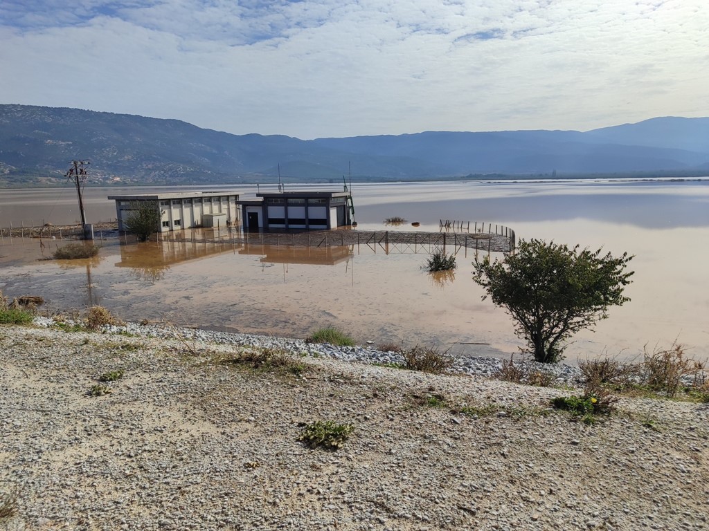 Υγειονομική βόμβα τα βαλτωμένα νερά της Κάρλας